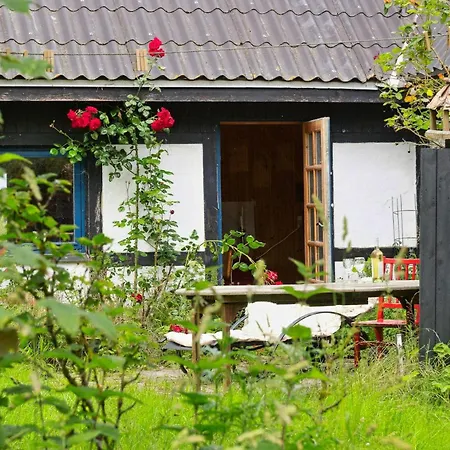 Quiet Hideaway Surrounded By Nature *