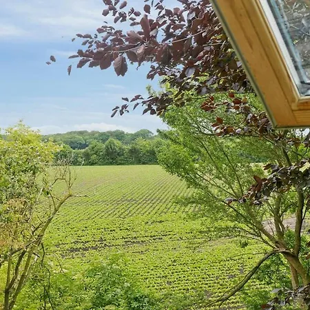 Quiet Hideaway Surrounded By Nature Semesterbostad
