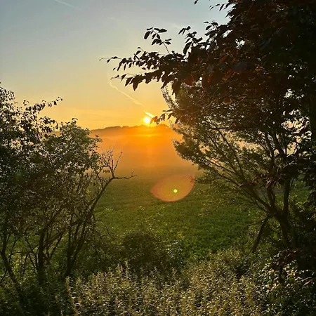 Semesterbostad Quiet Hideaway Surrounded By Nature Vesterborg